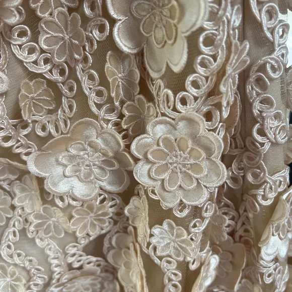 Sue Wong Strapless Champagne Floral Appliqué Cocktail Dress Women's size 12 - Picture 3 of 13